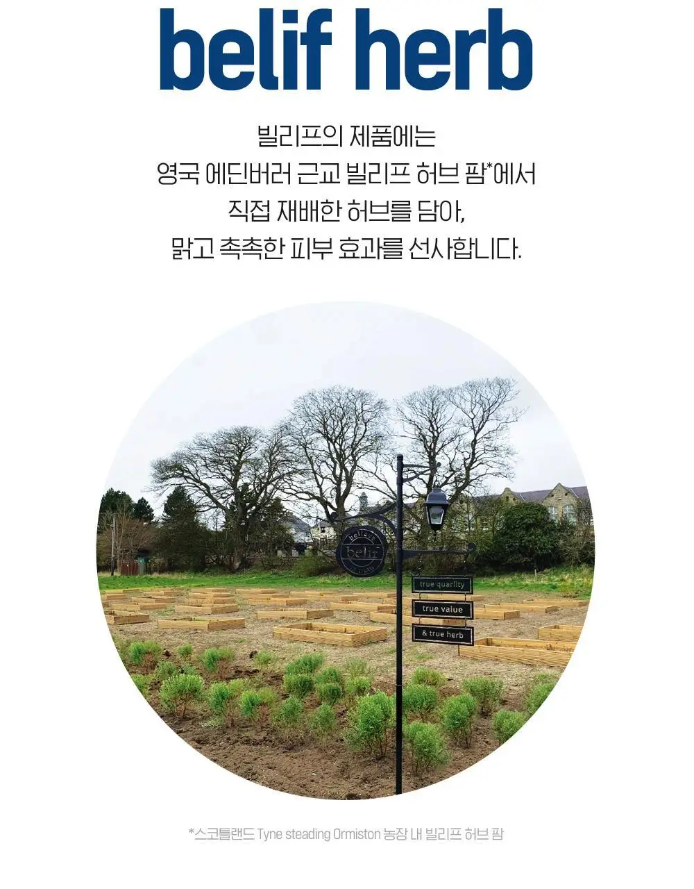 [NEW 올인원] 빌리프 맨올로지 히알루론 리차저 올인원 100ml 상세페이지 30
